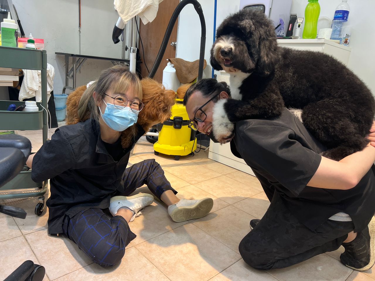 How to to become a Pet Groomer in Singapore? - Hachi by Tokyo [2023]